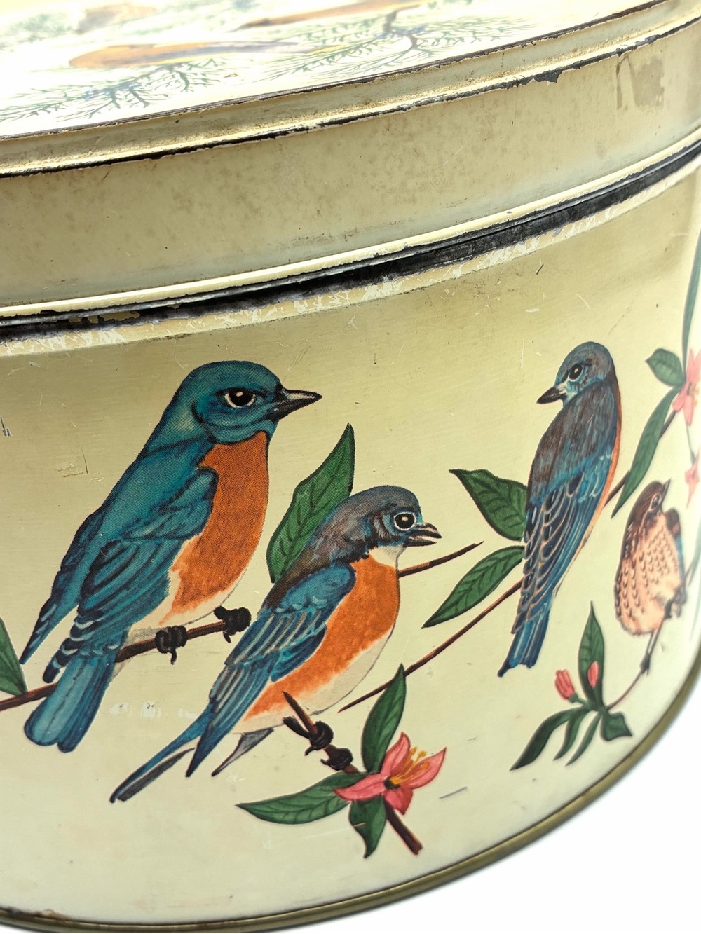 Vintage Tom Sturgis Bird Tin Round Metal Storage Box Cottagecore - Picture 10 of 16